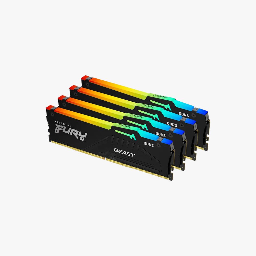 Memory (RAM)